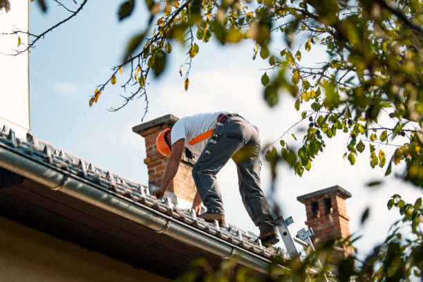Best Tile Roofing Contractor  in Burley, WA