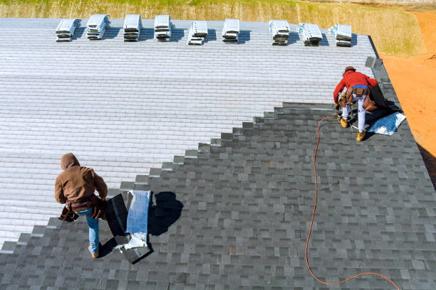 Best Local Roofing Companies  in Burley, WA