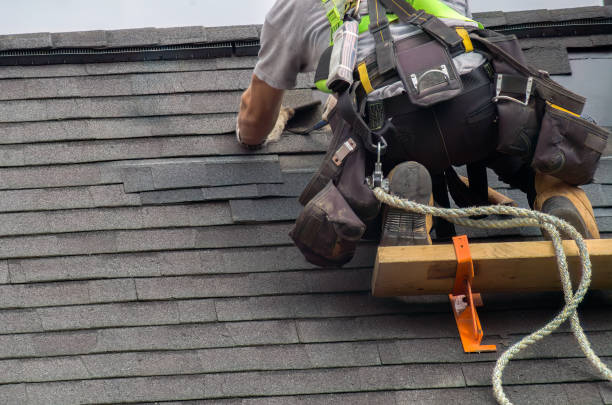 Best Metal Roofing Contractor  in Burley, WA