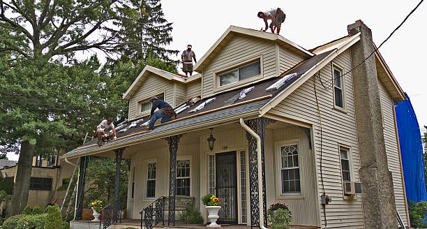 Best Roof Repair Services  in Burley, WA