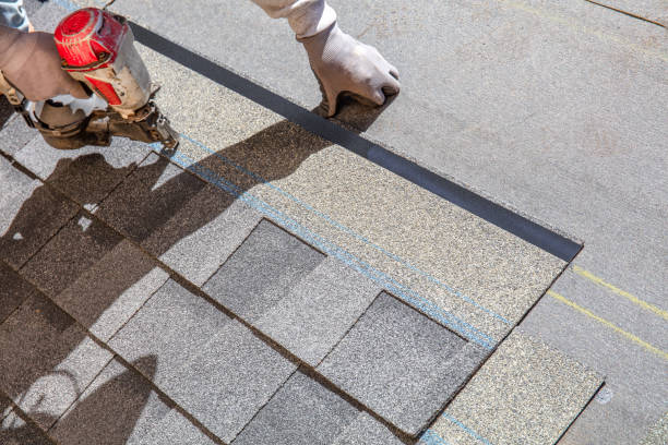 Best Roof Gutter Cleaning  in Burley, WA